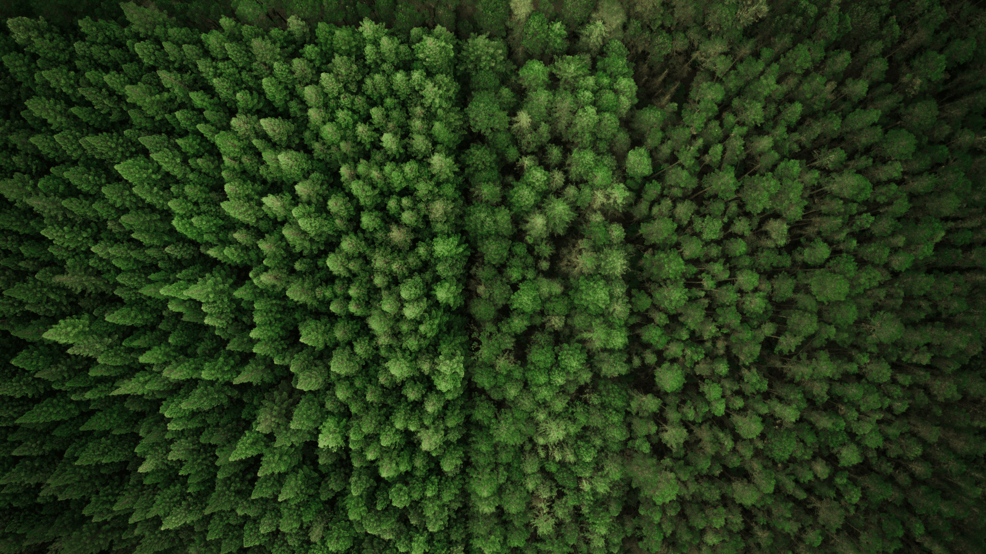 carousel-item-Zero-carbon